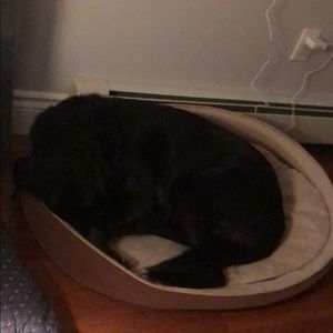 Meet your Posher, Helen